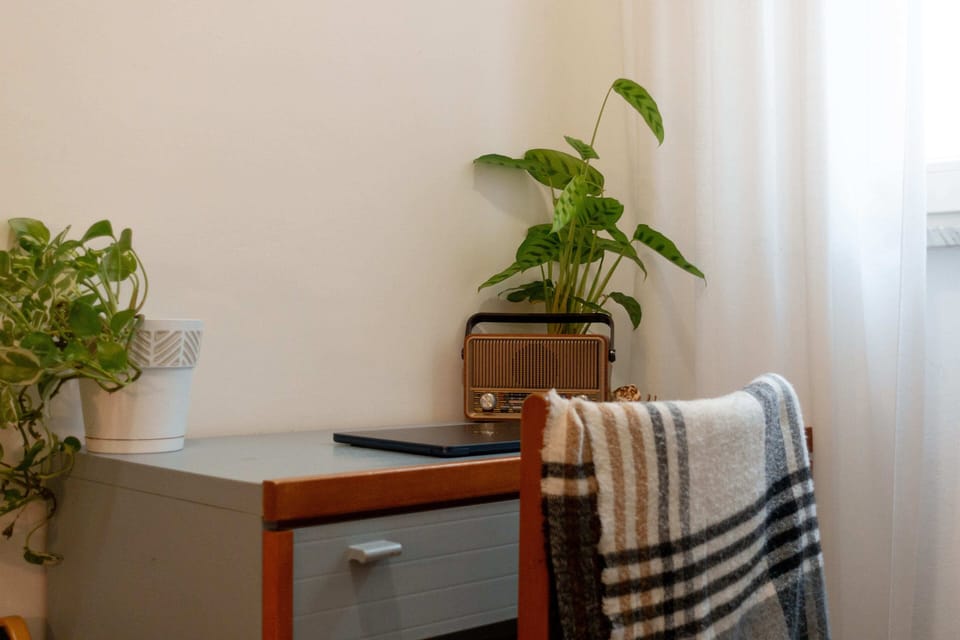 Classic Single Room, Non Smoking, Pets Allowed | Interior