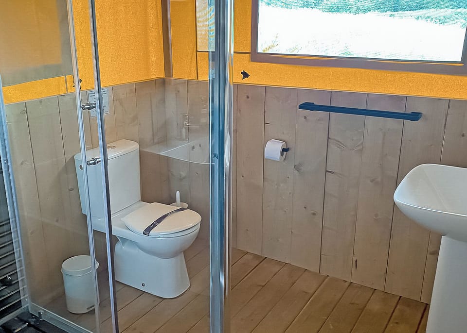 Toilet, Shower, Bathroom, House