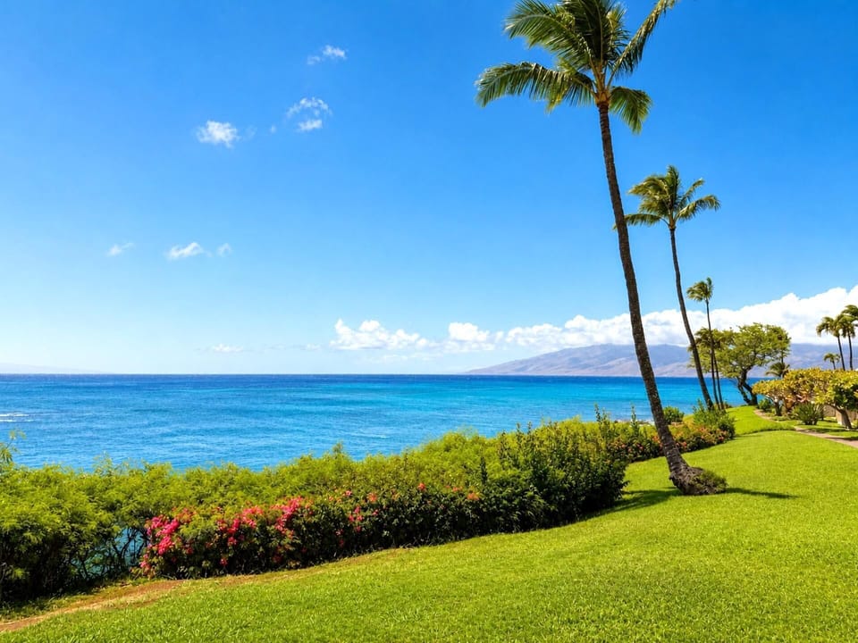 Panoramic Napili Point oceanfront views 