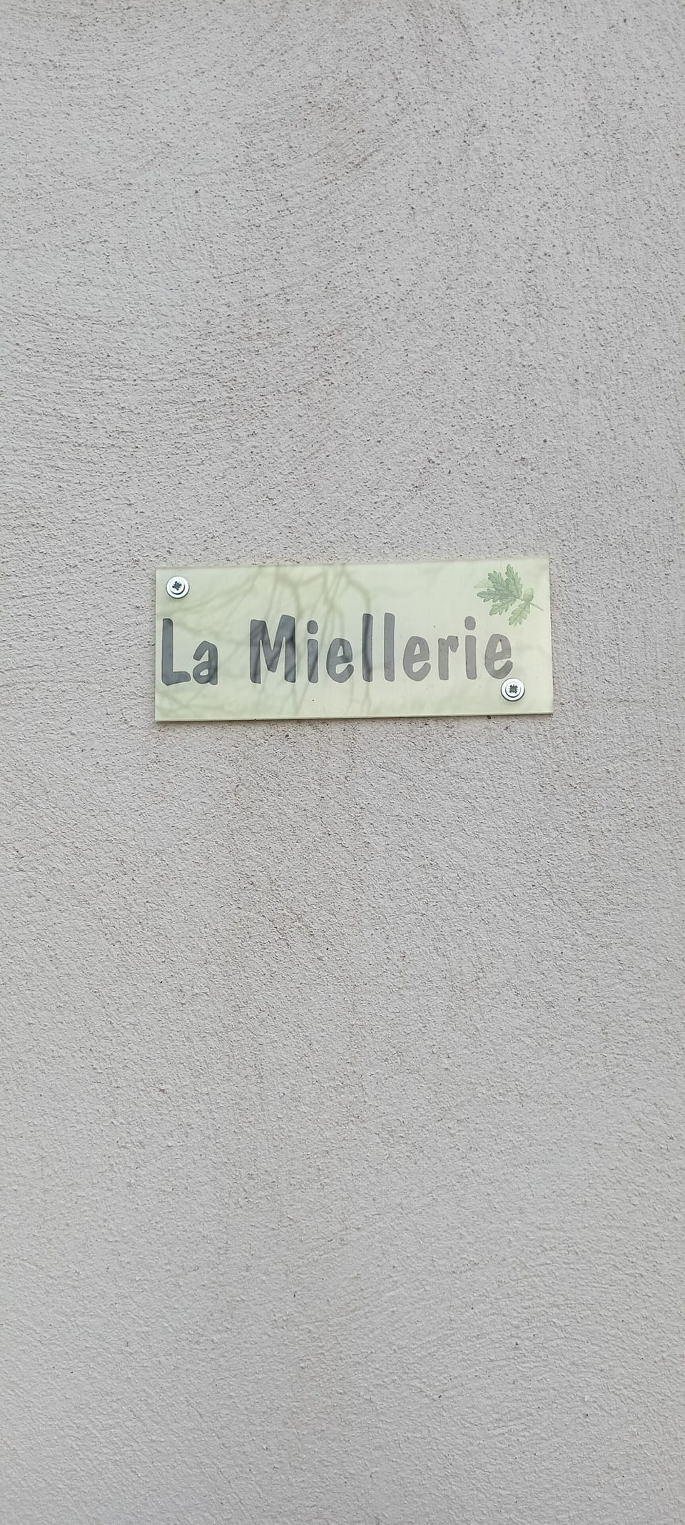Miscellaneous