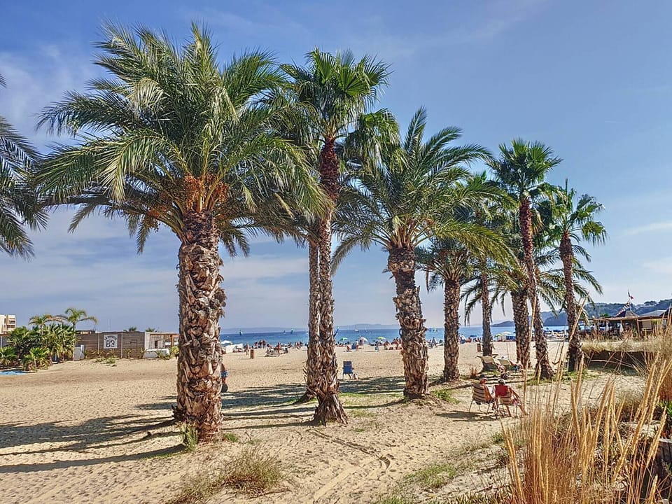 Beach