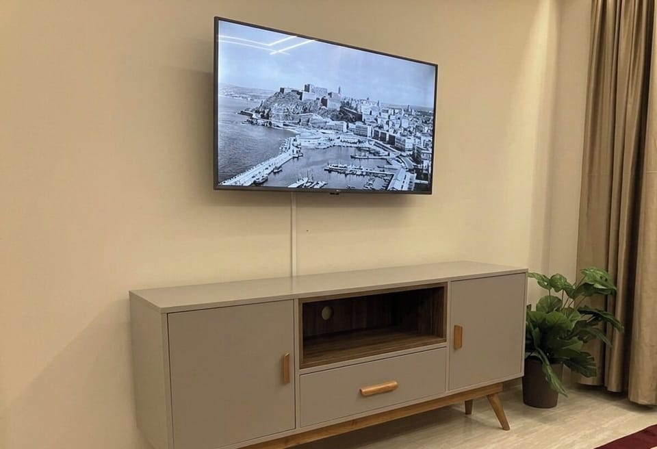 Television