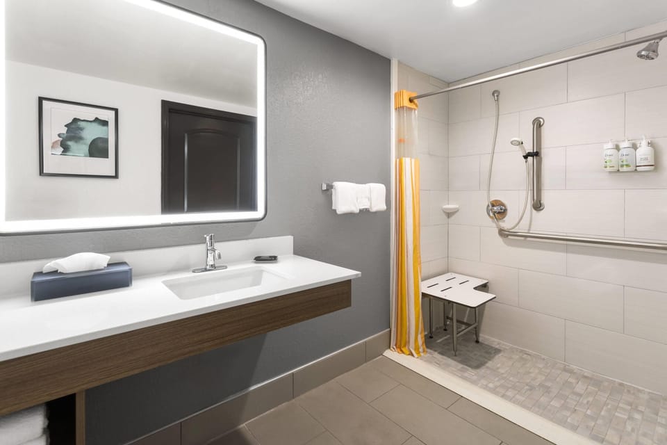 Room, 1 King Bed, Accessible, Non Smoking (Mobility/Hearing Impaired Accessible) | Accessible bathroom