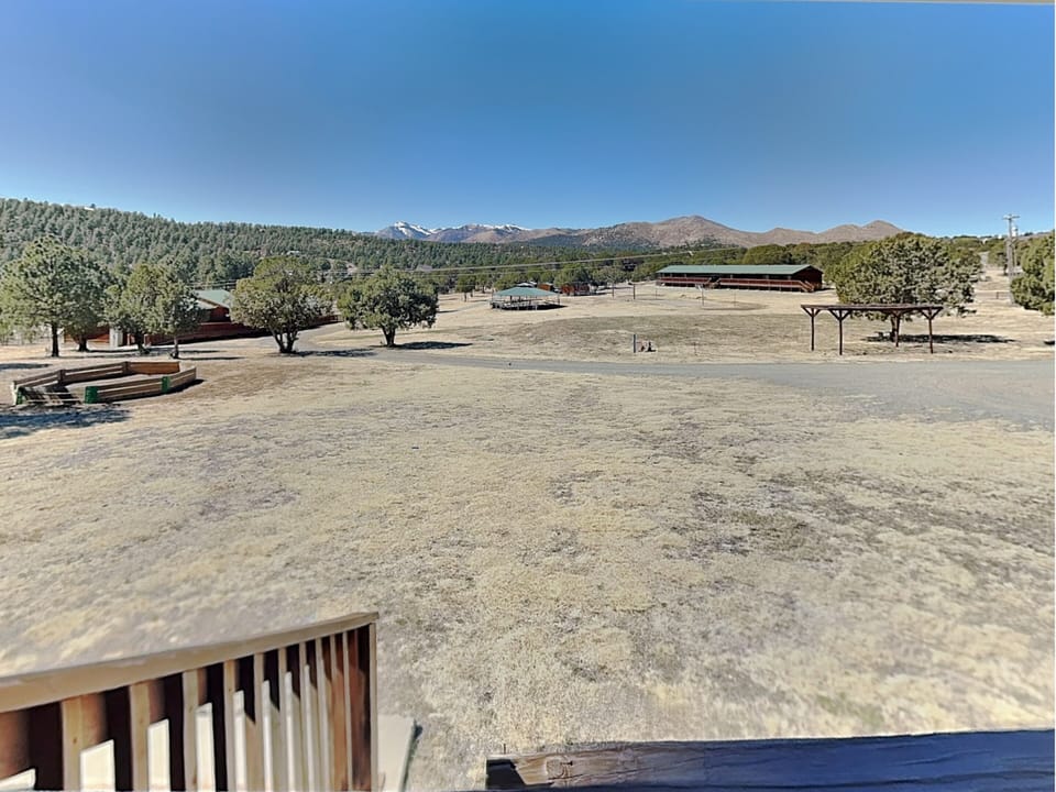 View of Camp Grounds From Cabinette Porch