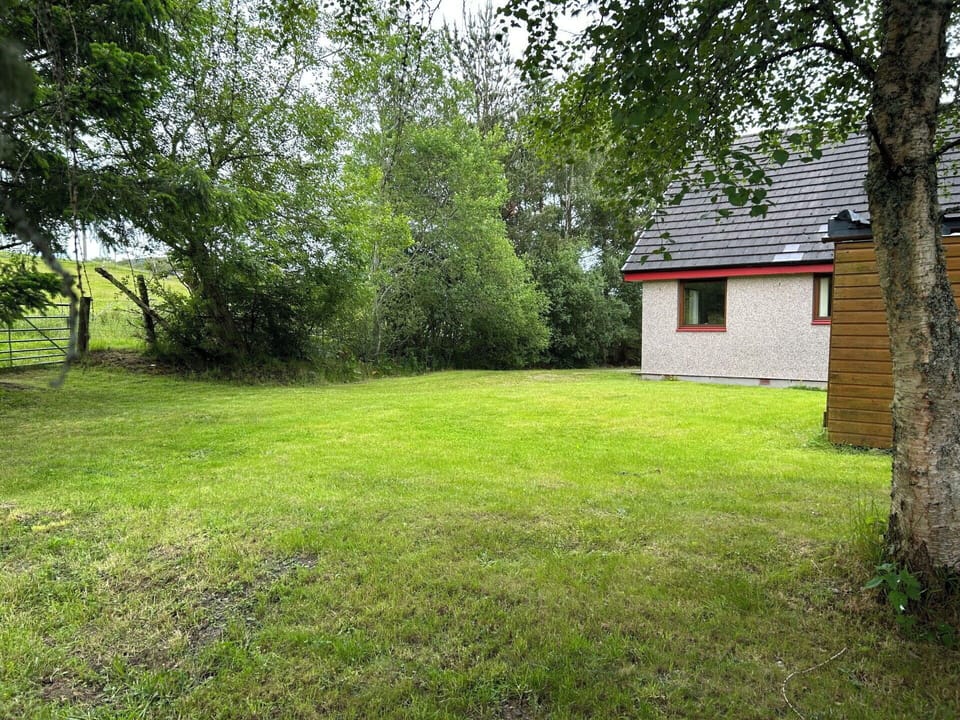 Grass, Shrub, Land Lot, Cottage, Plain, Lawn, Garden, Rural Area, Backyard