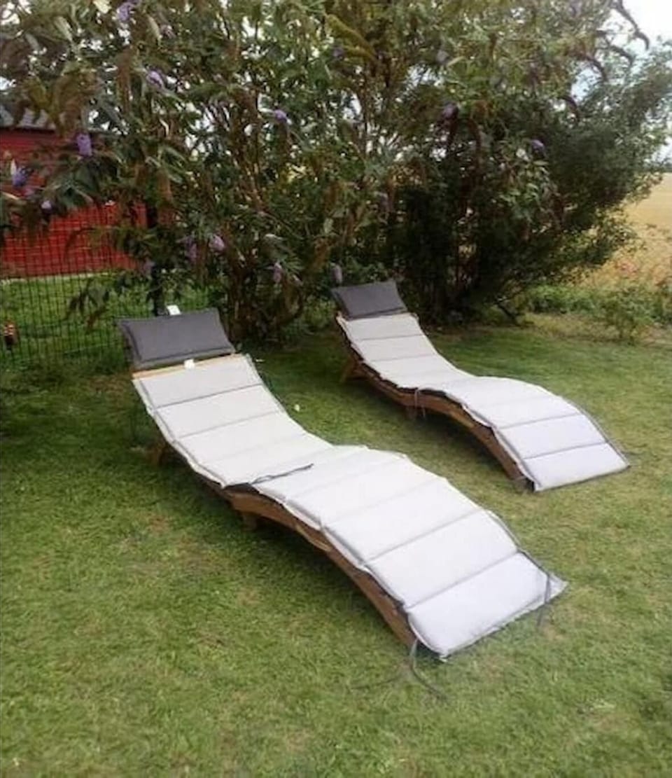Garden [summer]