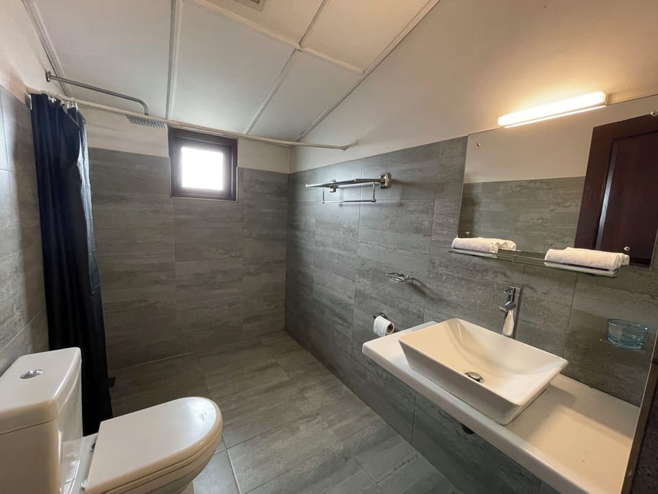 Family Quadruple Room, 2 Double Beds, Non Smoking, Pool Access | Bathroom | Shower, free toiletries, hair dryer, bidet