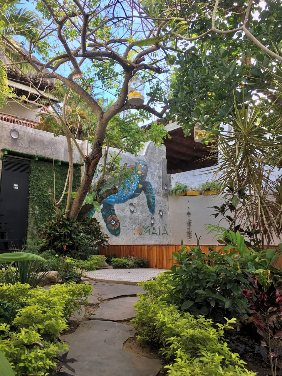 Garden