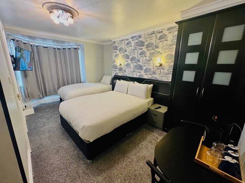 Deluxe Triple Room | Iron/ironing board, free WiFi