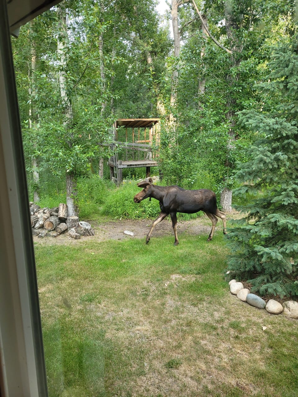 View from property