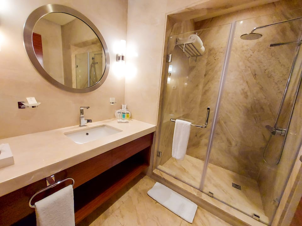 Suite (Corner) | Bathroom | Free toiletries, hair dryer, towels