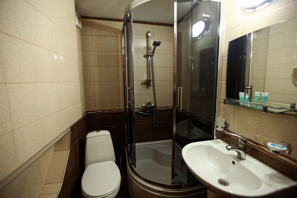 Standard Double or Twin Room | Bathroom | Free toiletries, hair dryer, towels