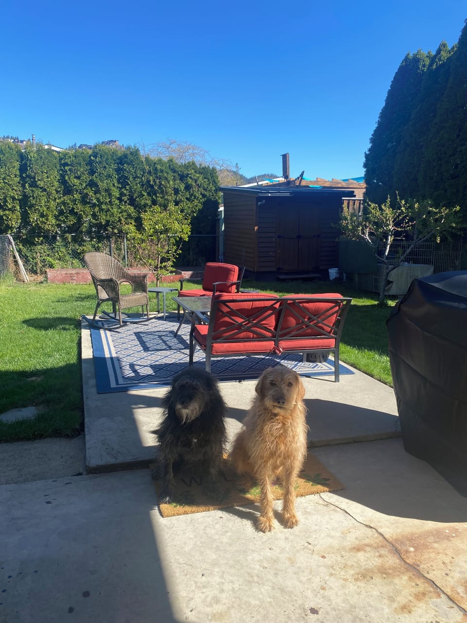 Terrace/patio