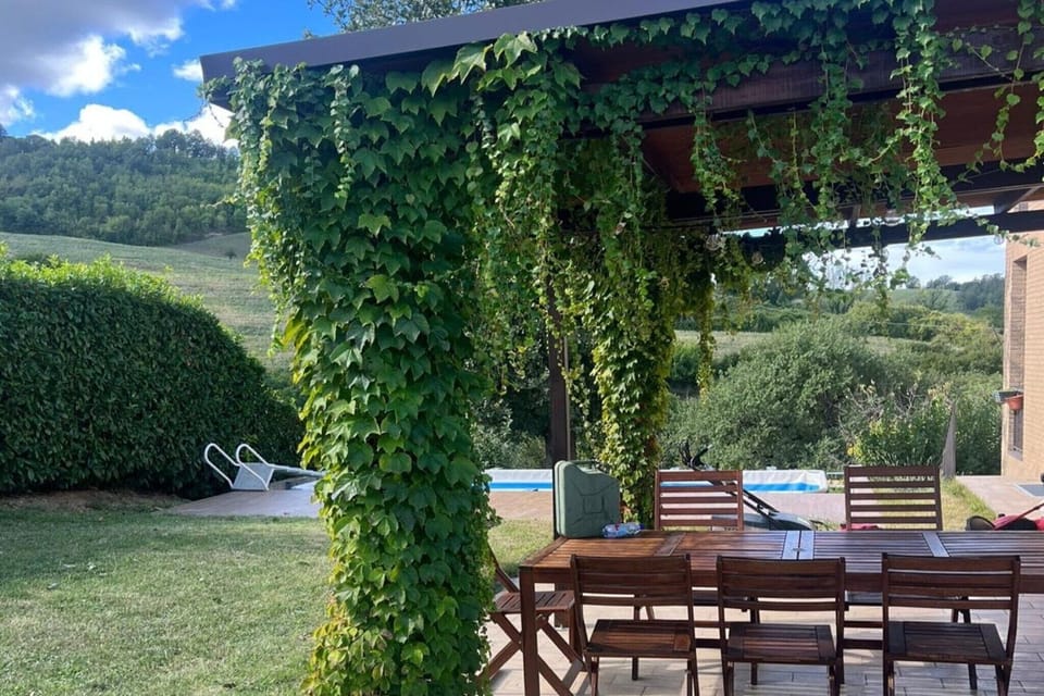 Garden [summer]