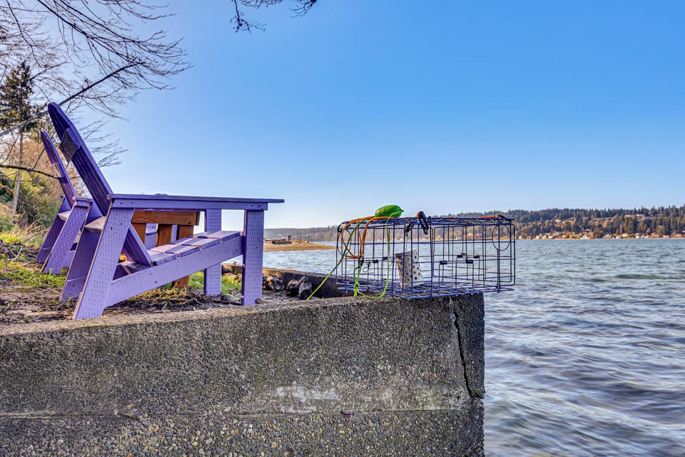 Shared Waterfront | Kayaks Provided