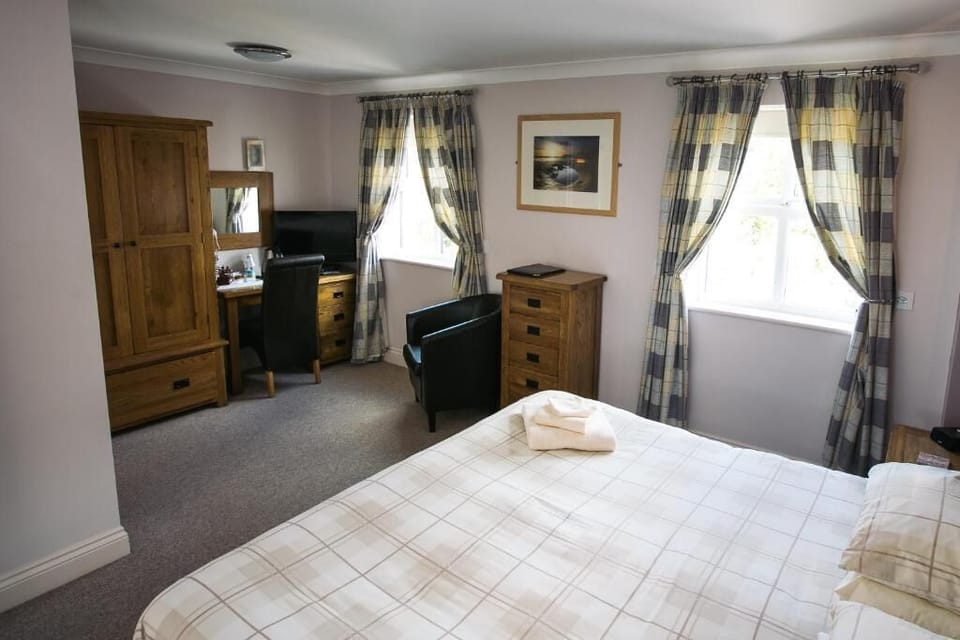 Executive Double or Twin Room | Iron/ironing board, free WiFi, wheelchair access