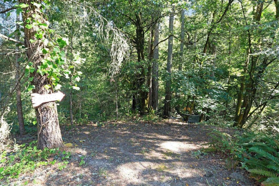Follow winding woodland trails on the property — your private nature retreat in the heart of Sonoma wine country.