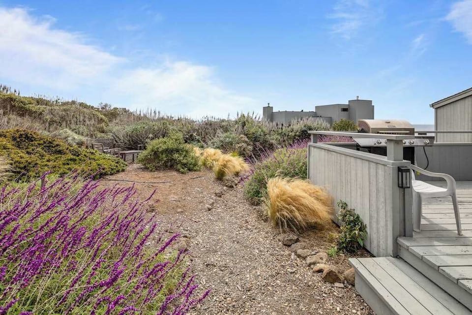 Native coastal plantings and blooming lavender line the garden path — your slice of Bodega Bay nature.