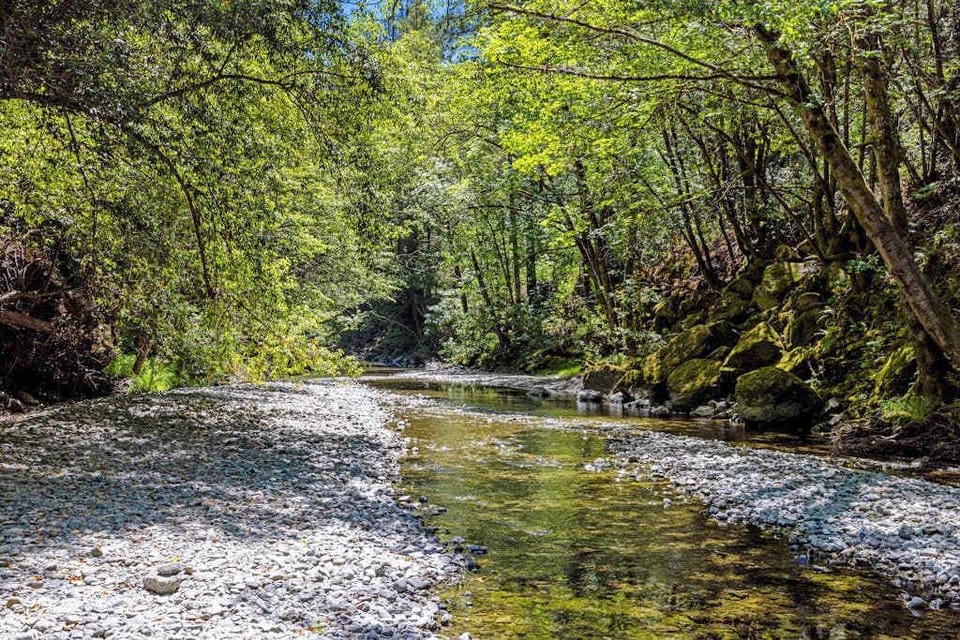 Follow the trail to your neighborhood creek — crystal-clear water, mossy boulders, and a leafy canopy make this Sonoma County swimming hole all yours.