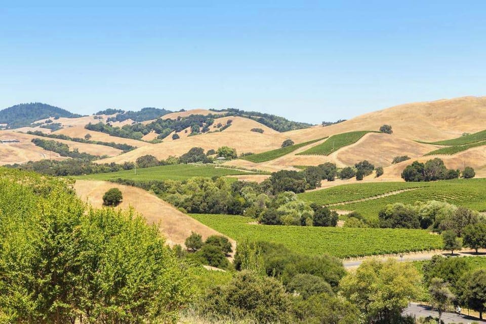 Rolling vineyard-covered hills stretch toward the horizon — your Silverado Resort base puts you minutes from Napa Valley's most celebrated wine country landscapes.