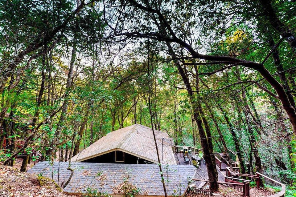 Tucked beneath a cathedral of oaks and redwoods, The Lazy Bear's unique octagonal roofline peeks through the canopy — your private Sonoma County forest escape awaits.
