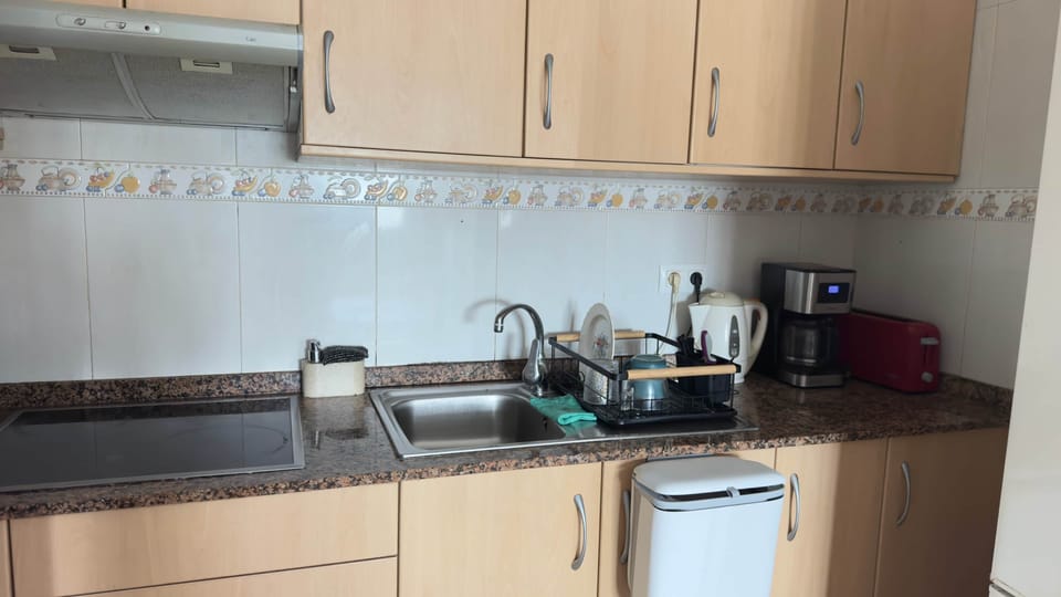1BR appartment kitchen 1