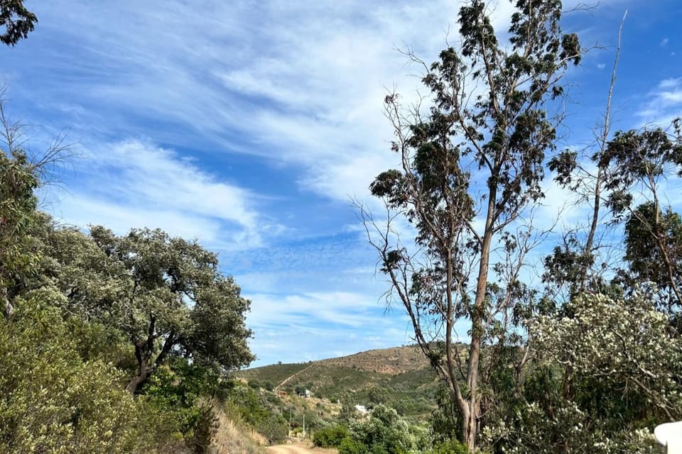 Image 18