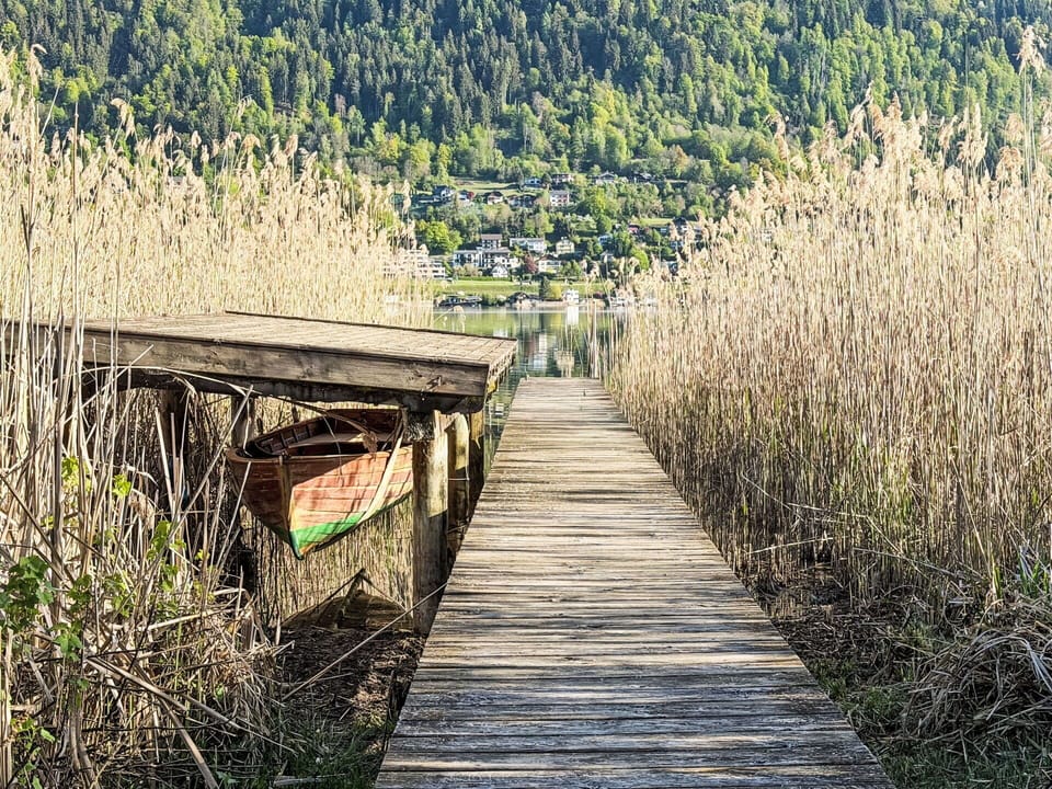 Green, Natural Landscape, Marsh, Lake, Reflection, Boardwalk