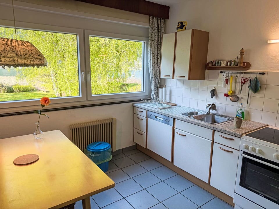 Kitchen, Wood, Major Appliance, Kitchen Appliance, Interior Design, Countertop, Flooring, Furniture, Room, Kitchen Stove
