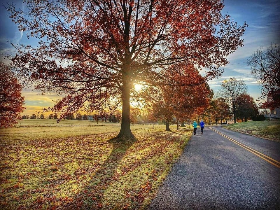 Sunlight filters through autumn leaves onto a paved road where two joggers run beside an open field.