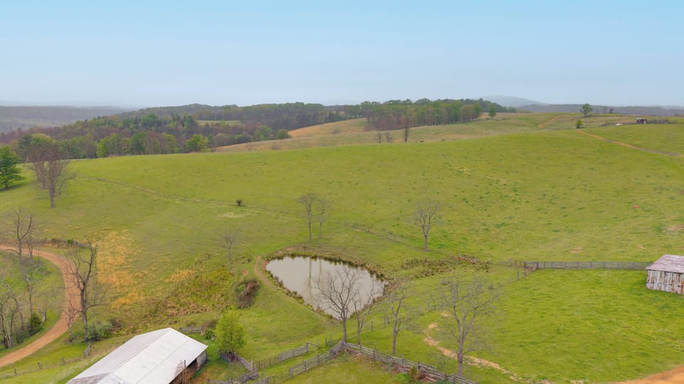 Enjoy all the livestock while relaxing in the WV mountains.