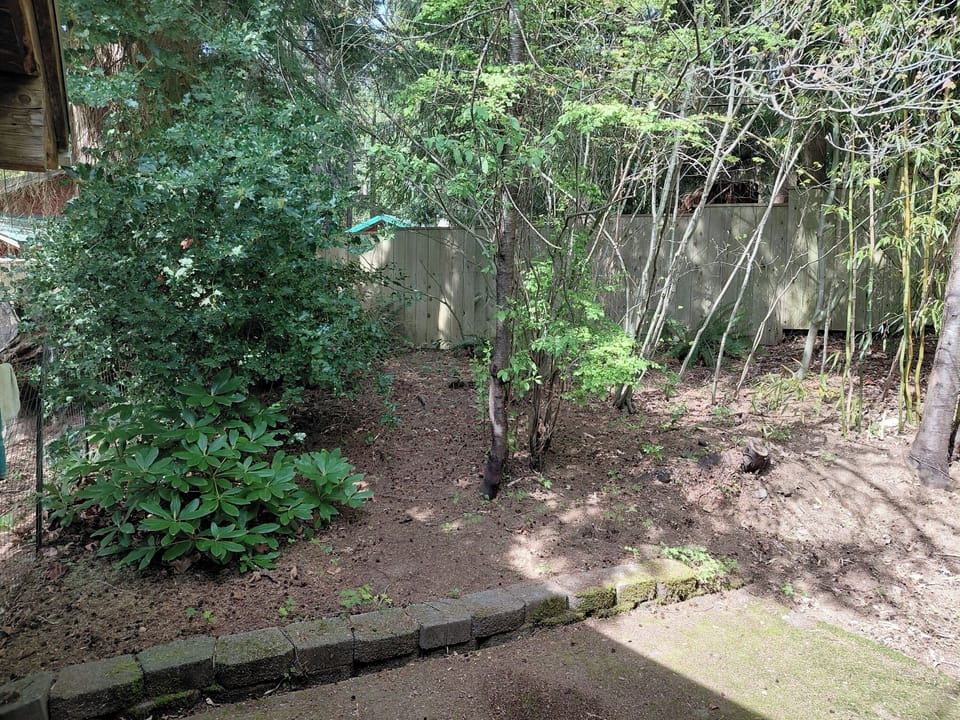 Very private fenced back yard, with patio. Can  provide gas BBQ if you like.