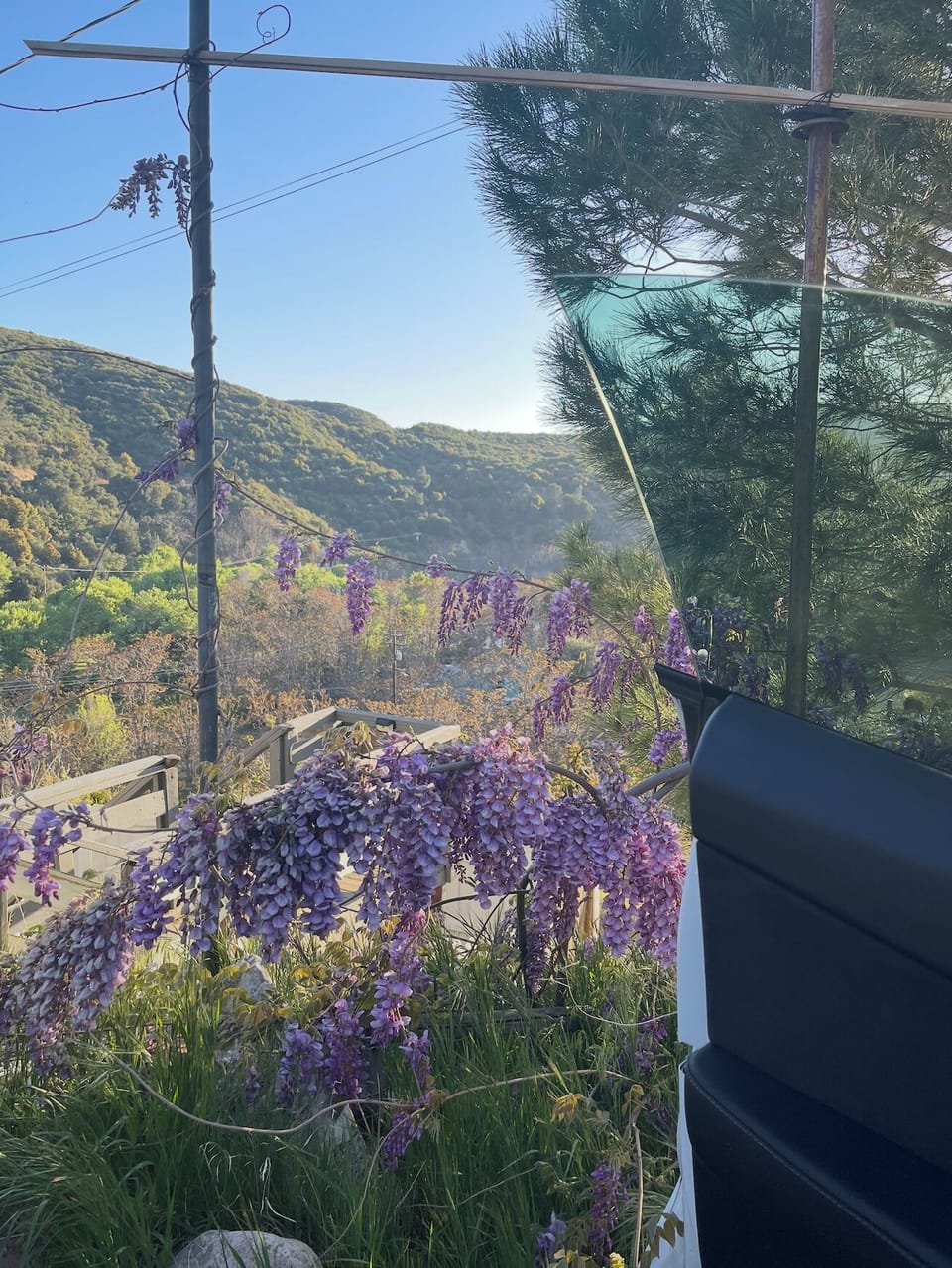 View from property