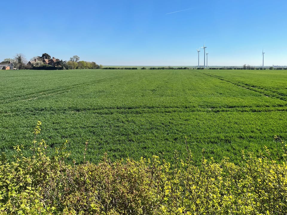 View | The Cottage at Eastlands, Bradwell-on-Sea, near Maldon