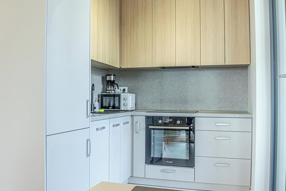 Basic Apartment | Private kitchen | Fridge, microwave, oven, stovetop