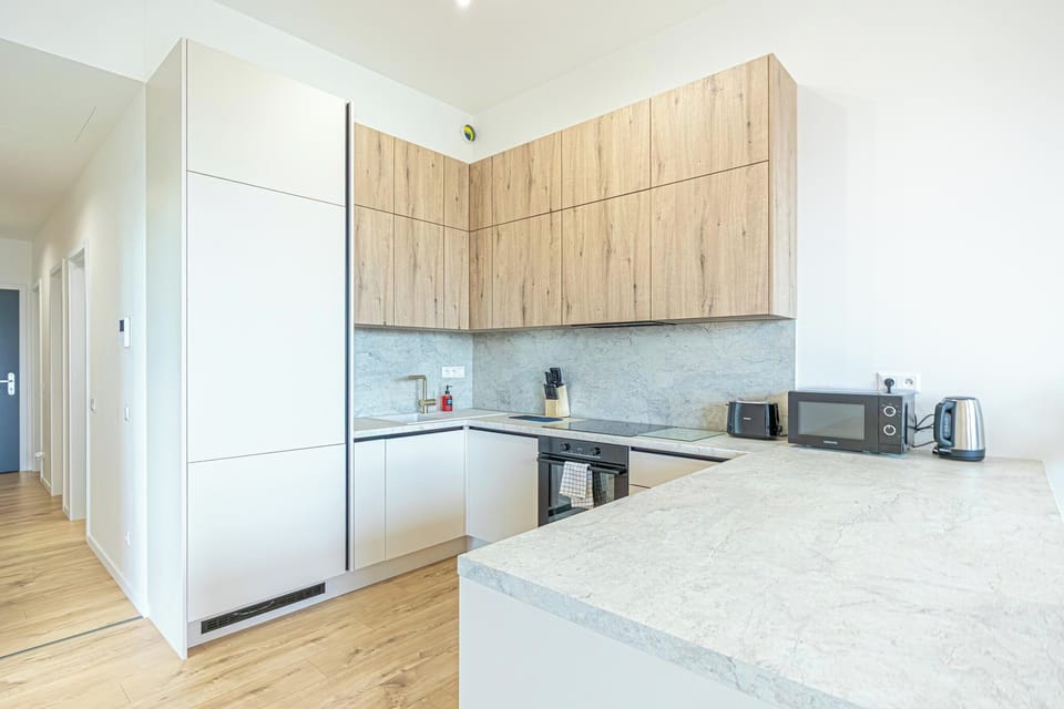 Basic Apartment | Private kitchen | Fridge, microwave, oven, stovetop