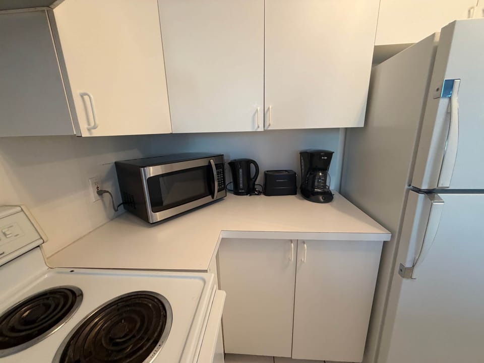 IMG 1936