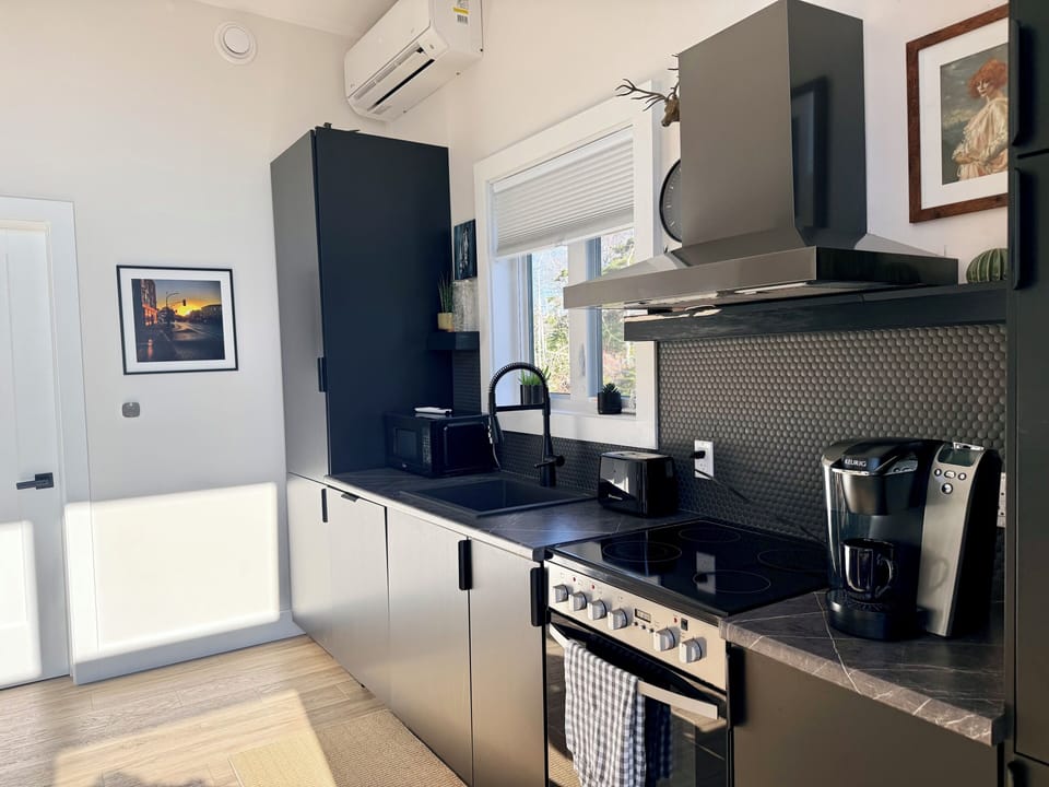 Kitchen with fridge and dish washer hidden behind cabinets on the left. 
