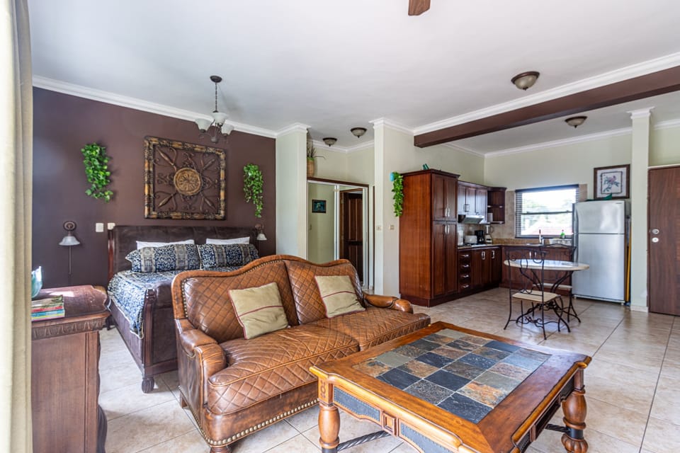 Apartment, 1 Bedroom, Balcony, Garden View | Living room | Books