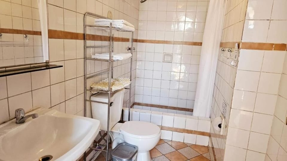 Shower, towels, soap, toilet paper