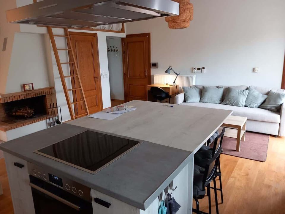 Kitchen and living area combined, with a functional layout that keeps everything within reach.