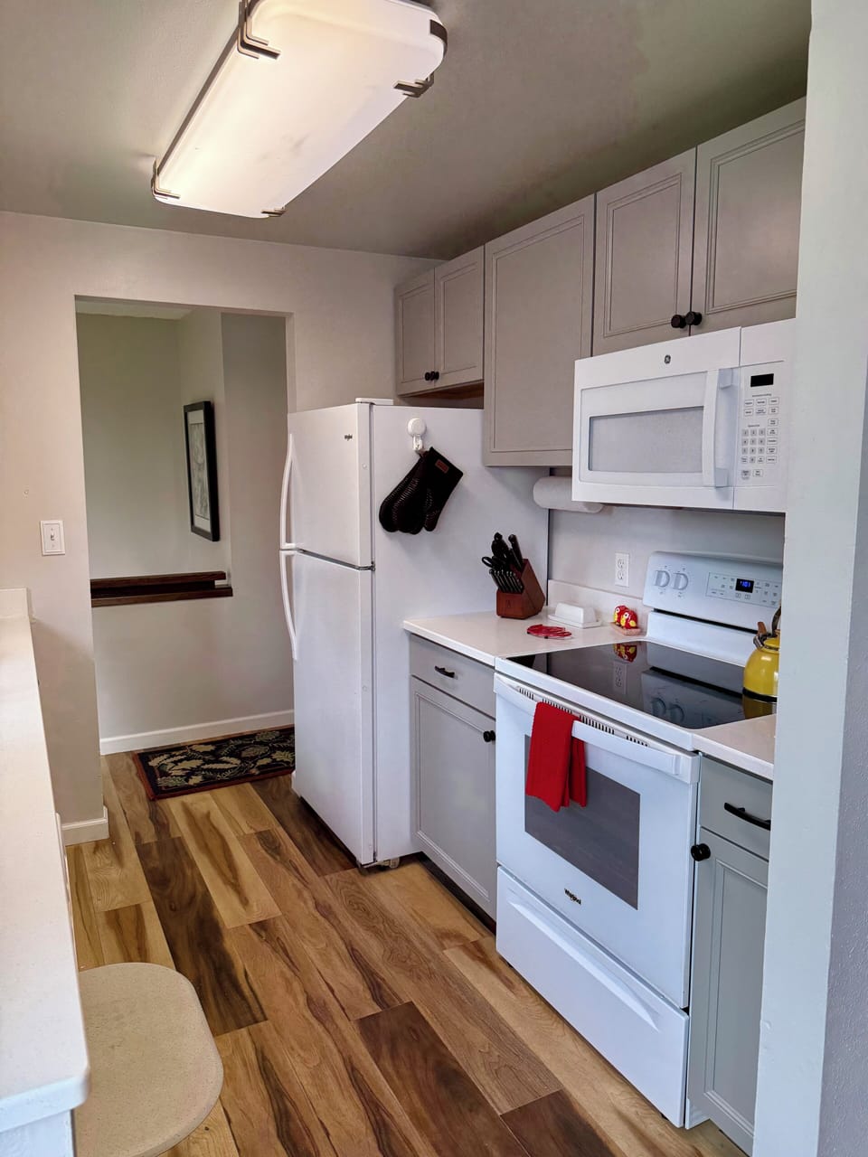 Full kitchen: all appliances & basic cooking / storage needs.