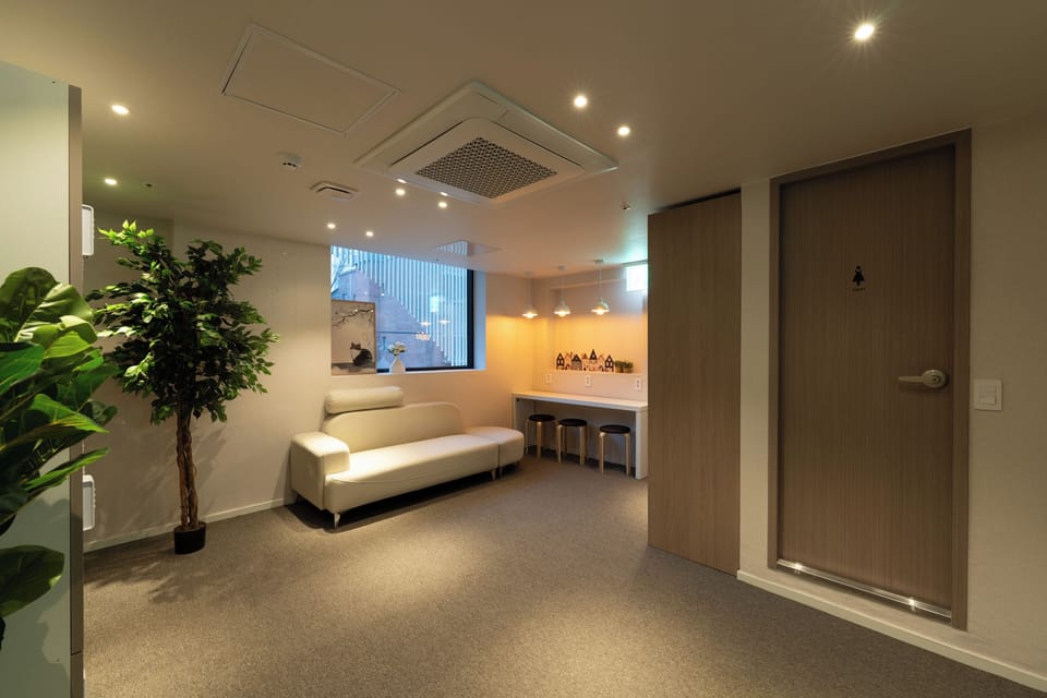 Standard Shared Dormitory, Women only, Non Smoking | Interior