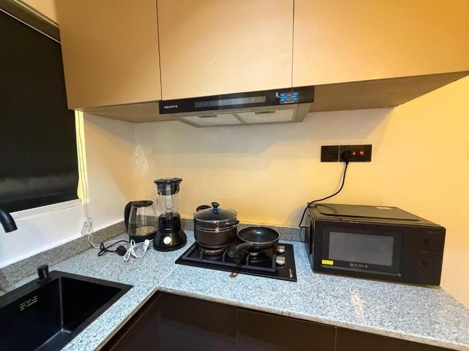 Family Apartment, Balcony, City View | Private kitchen | Fridge, microwave, oven, stovetop