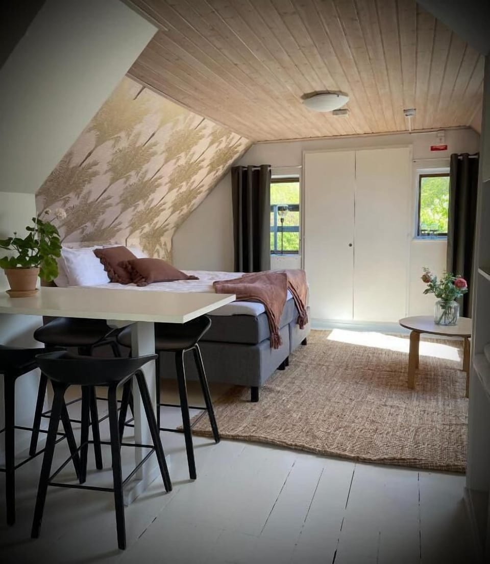 Family Studio | Iron/ironing board, free WiFi, wheelchair access