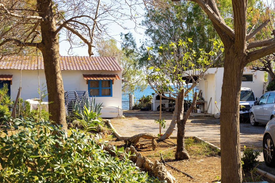 Charming garden area surrounded by trees