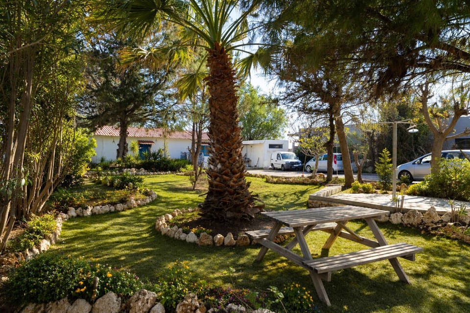 Lush garden with palm trees and shaded seating