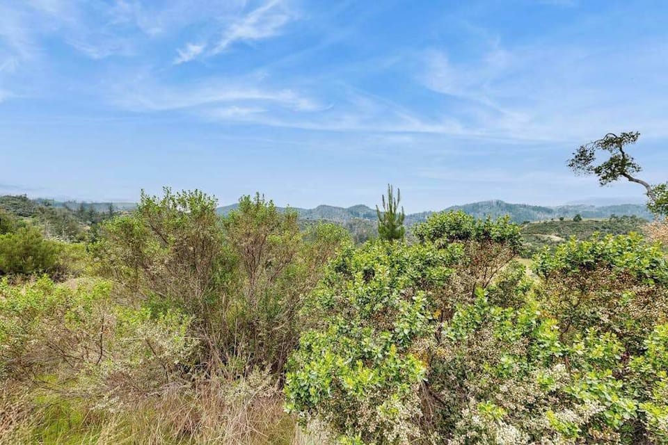 Take in the sweeping panorama of Calistoga's vine-covered hills and distant mountain ridges — your front-row seat to Sonoma wine country's natural beauty.