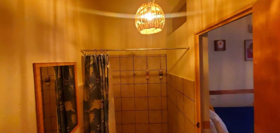 Shower, towels, soap, shampoo