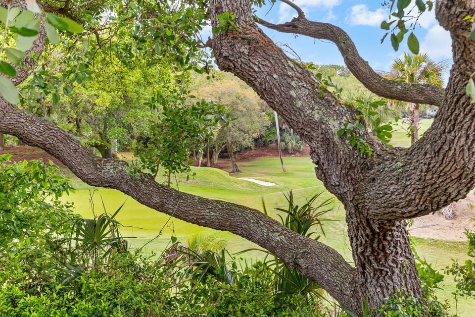 Pelican Bay 40; Wild Dunes; Isle of Palms
